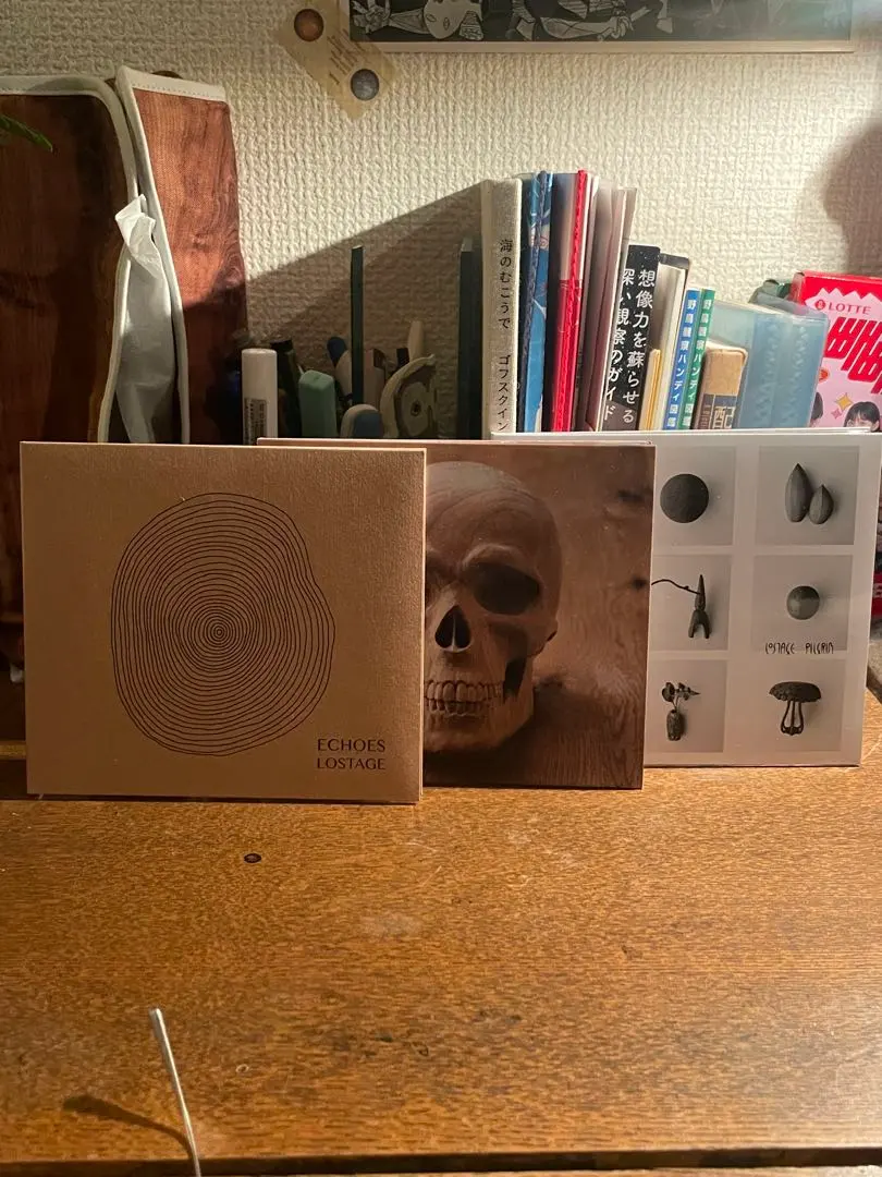 2026年最新】lostage LPの人気アイテム - メルカリ