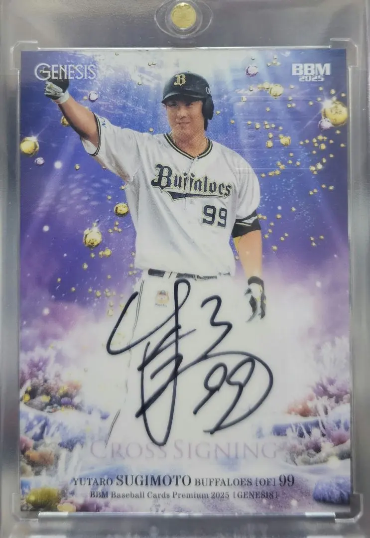 2026年最新】杉本裕太郎 サインの人気アイテム - メルカリ