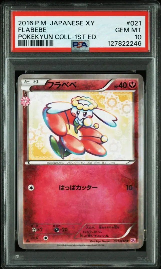 2026年最新】フラべべ ポケキュンの人気アイテム - メルカリ