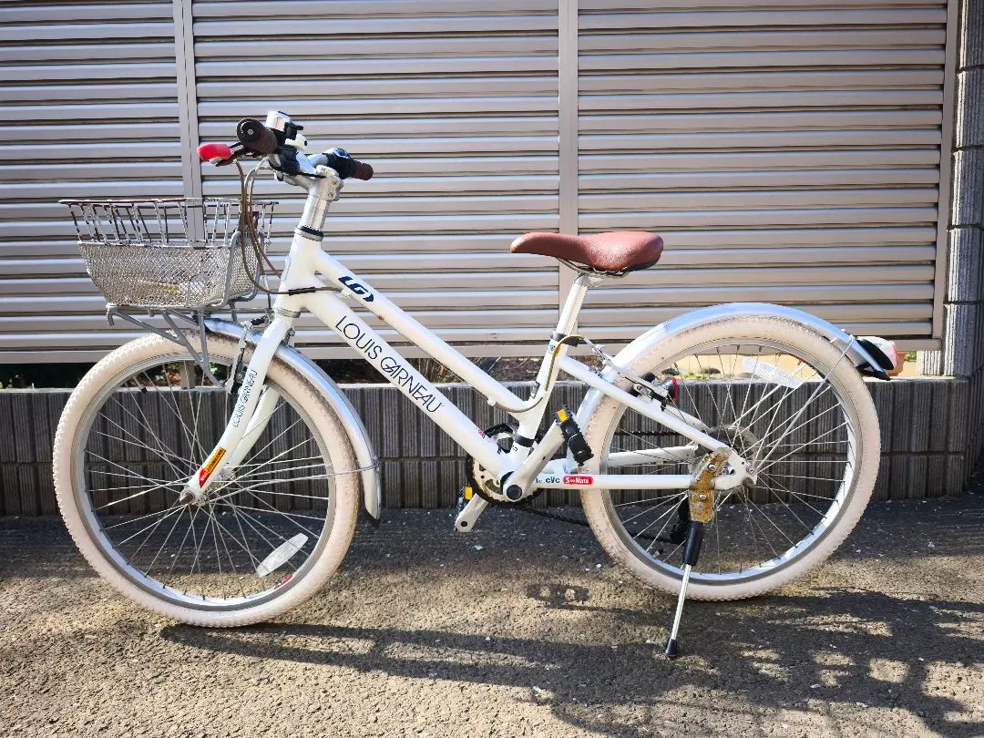 2026年最新】ルイガノ 22インチの人気アイテム - メルカリ