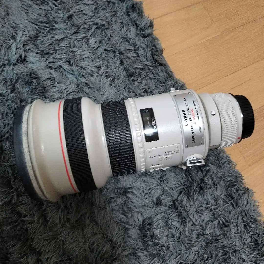 2026年最新】EF300mm F2.8L ISの人気アイテム - メルカリ