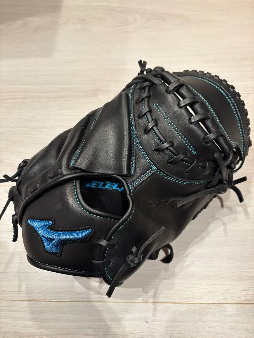 2026年最新】ダイバーシティブルー キャッチャーミットの人気アイテム