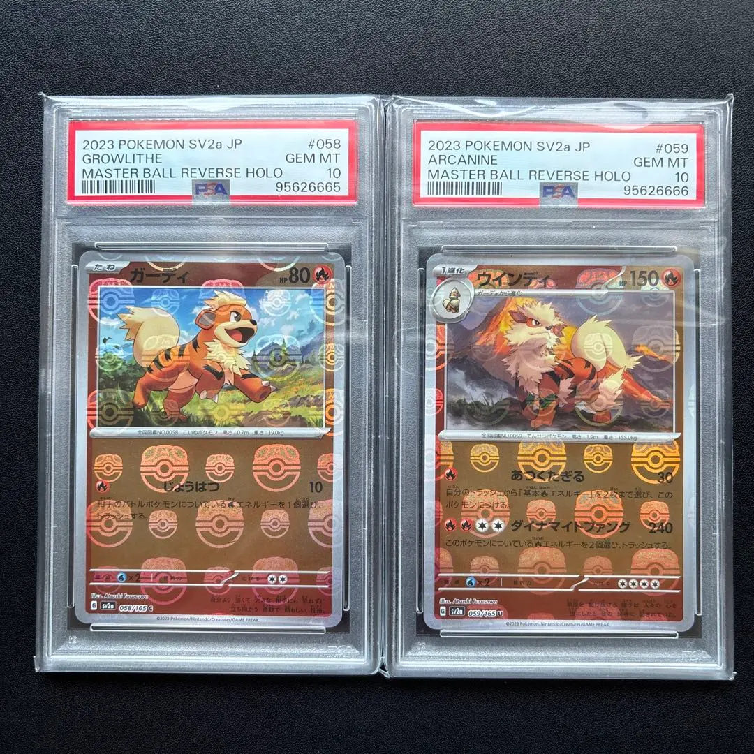 2026年最新】ガーディ マスターボールの人気アイテム - メルカリ