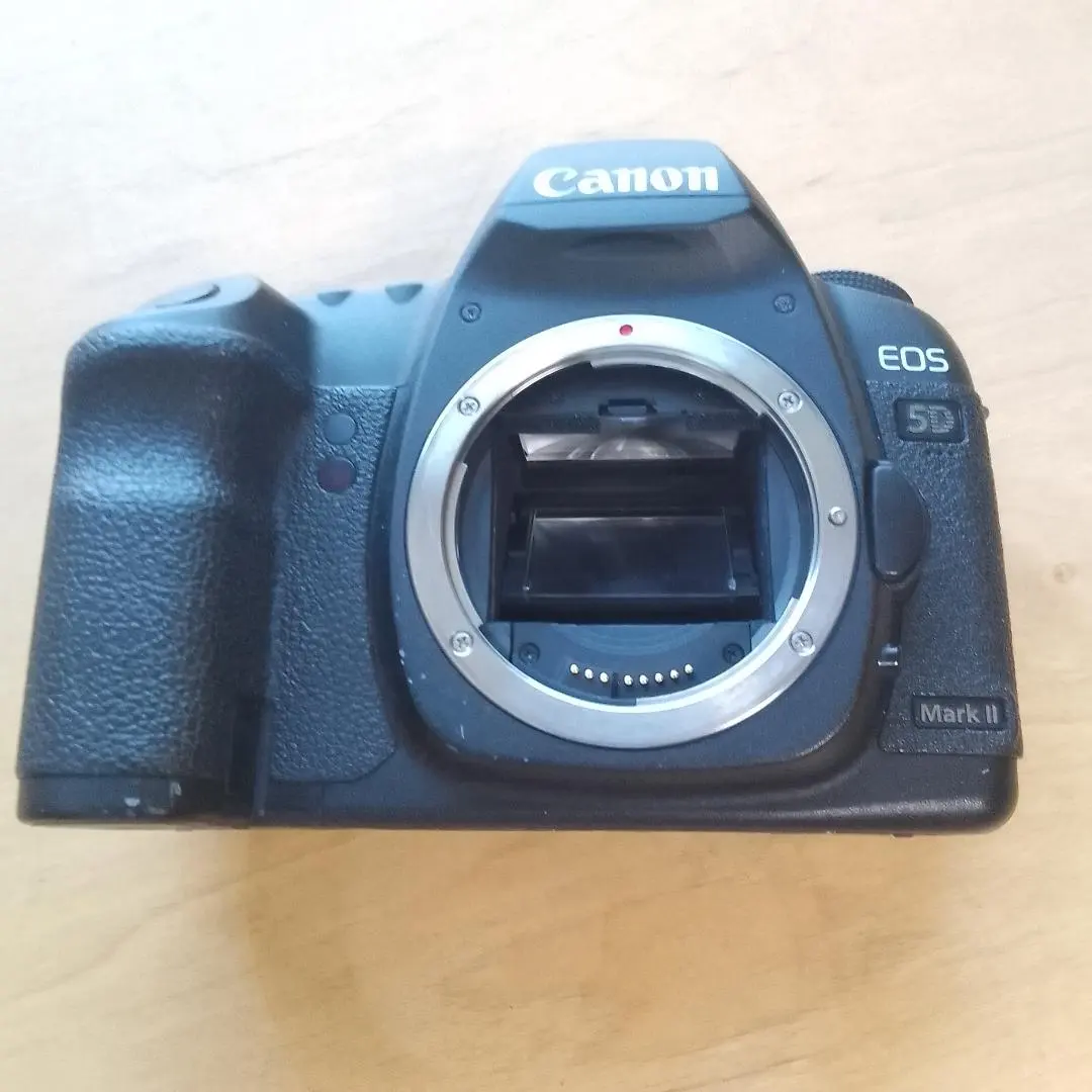 2026年最新】canon eos 5d 初代の人気アイテム - メルカリ