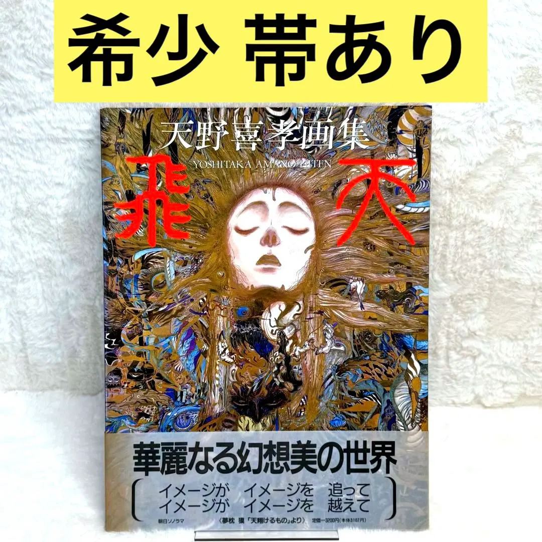 2026年最新】天野喜孝全版画集の人気アイテム - メルカリ