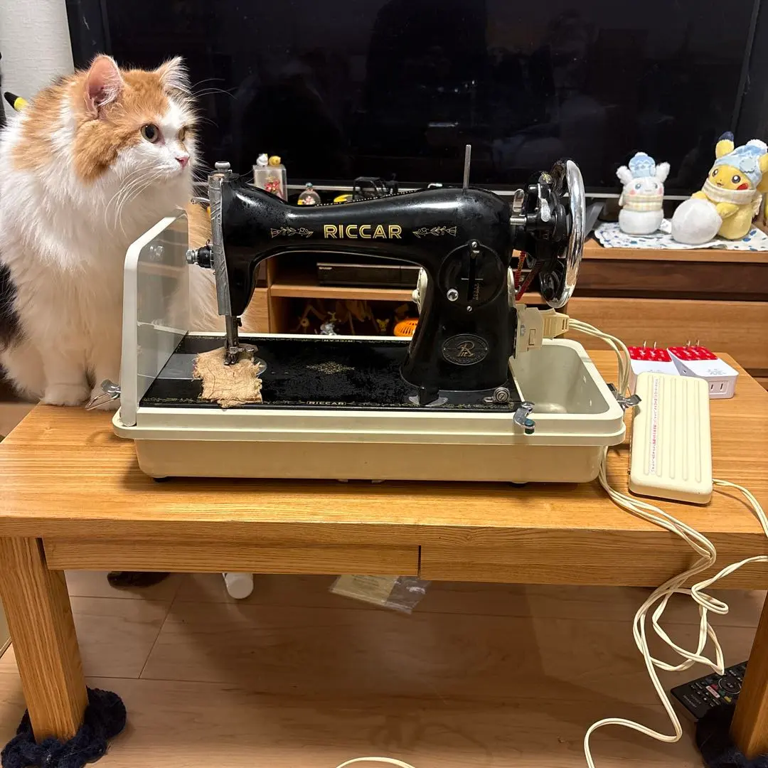 2026年最新】Riccar ミシン 台の人気アイテム - メルカリ
