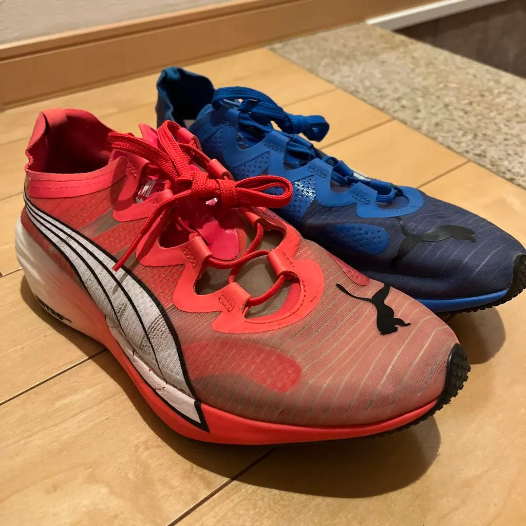 2026年最新】ファストフォワードニトロエリートの人気アイテム - メルカリ