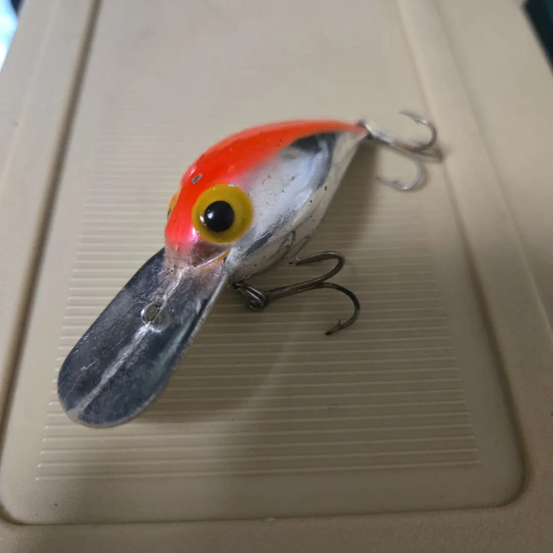 2026年最新】オールド ウィグルワートの人気アイテム - メルカリ