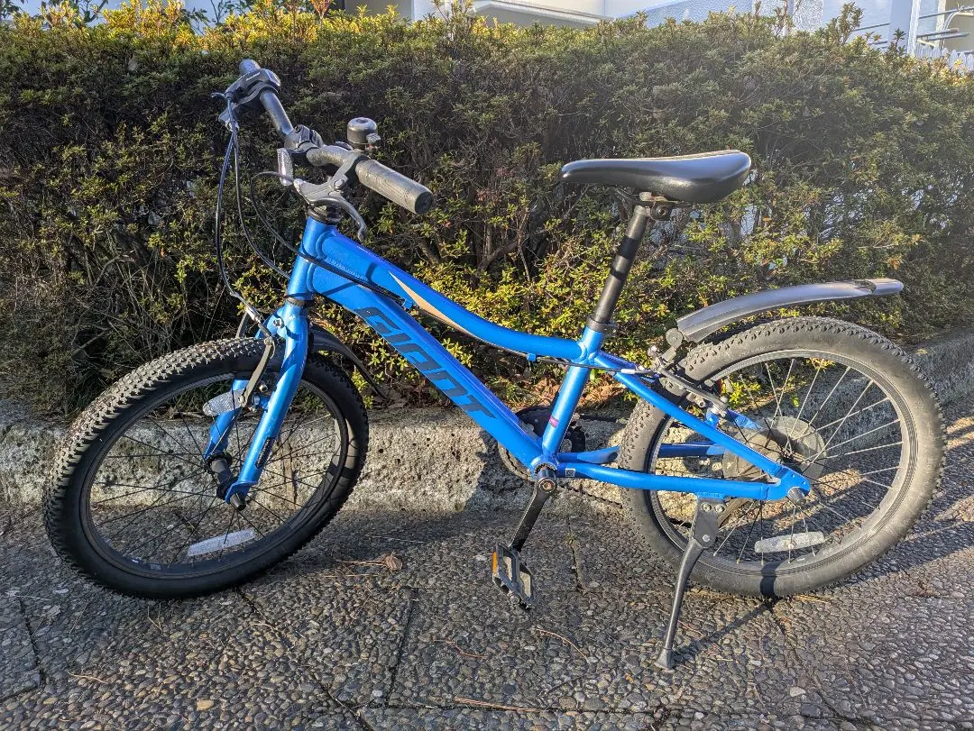 2026年最新】GIANT XTC jrの人気アイテム - メルカリ