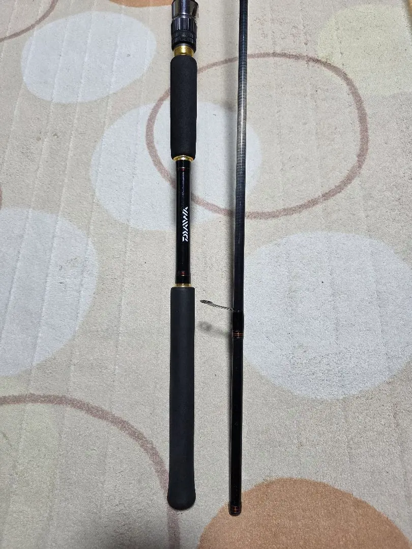 2026年最新】ダイワ ジグキャスターMX 106MHの人気アイテム - メルカリ