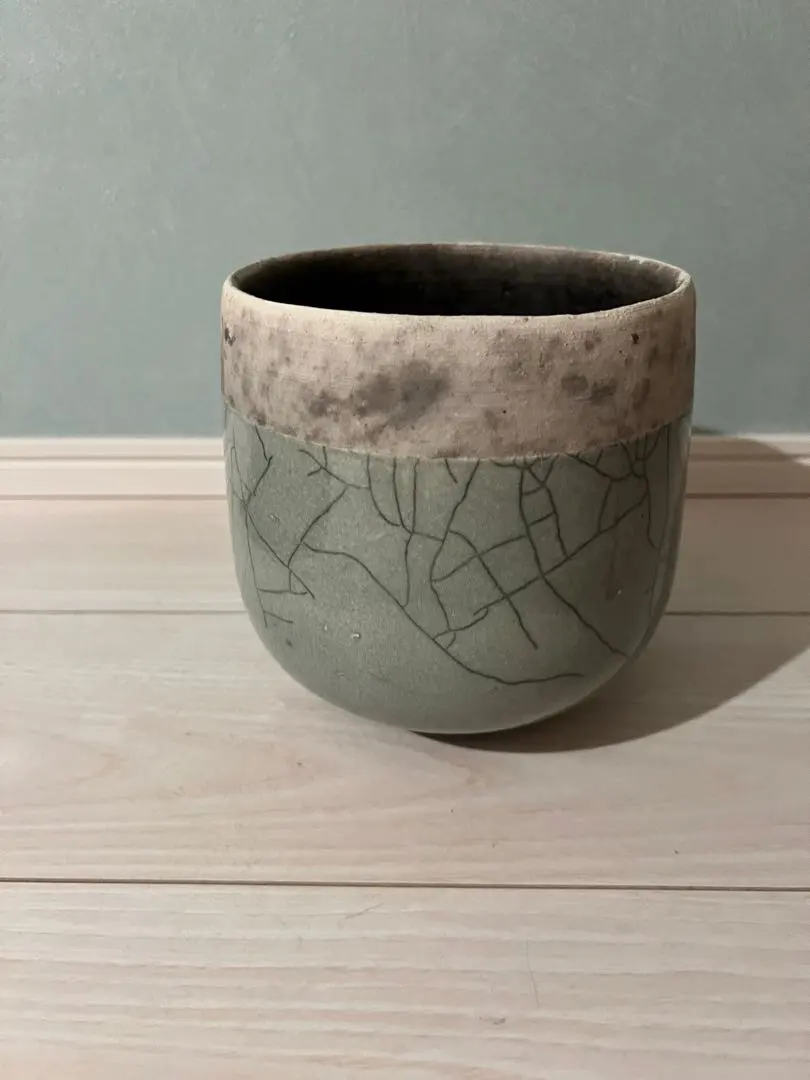 2026年最新】domani ドマーニ 鉢の人気アイテム - メルカリ