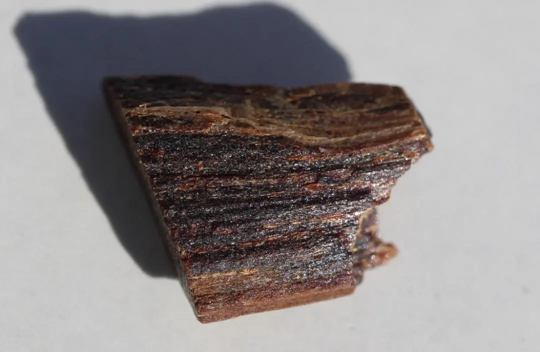 2026年最新】奇南香の人気アイテム - メルカリ