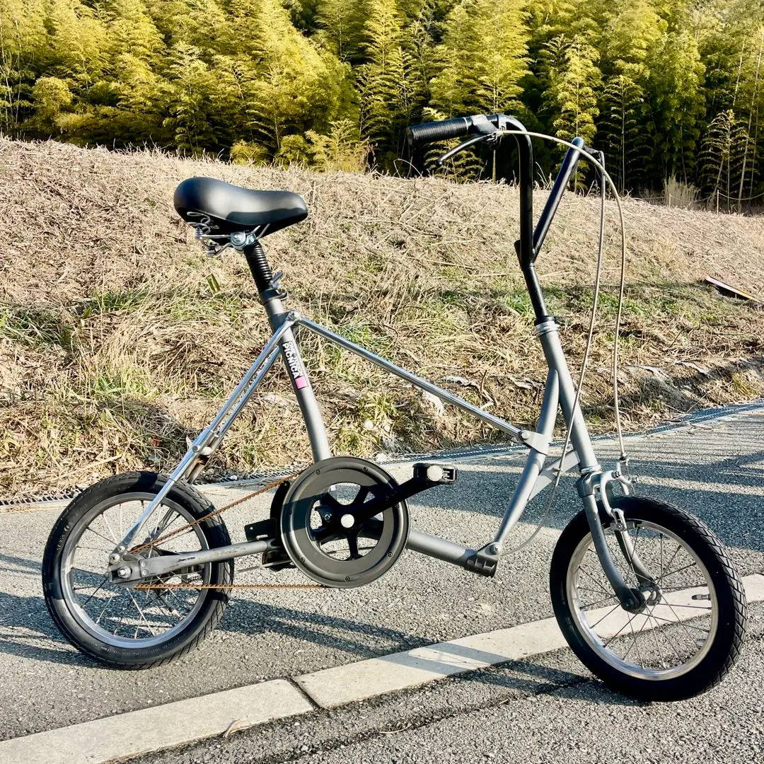 2026年最新】ブリジストン ピクニカの人気アイテム - メルカリ