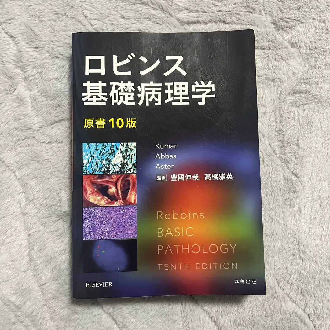 2026年最新】ロビンス基礎病理学 原書10版-電子書籍(日本語・英語版)付