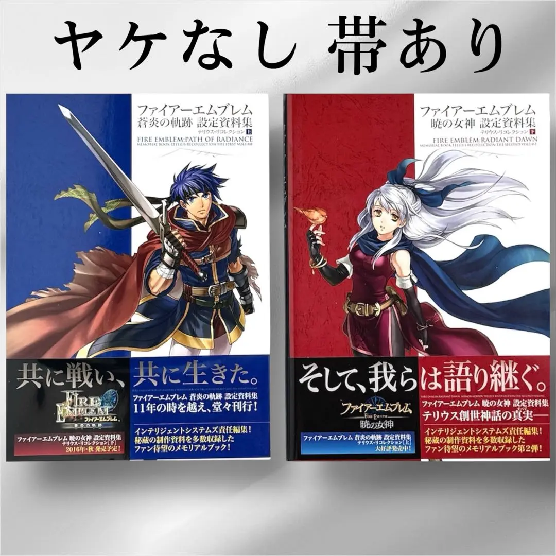 2026年最新】ファイアーエムブレム 蒼炎の軌跡 設定資料集の人気