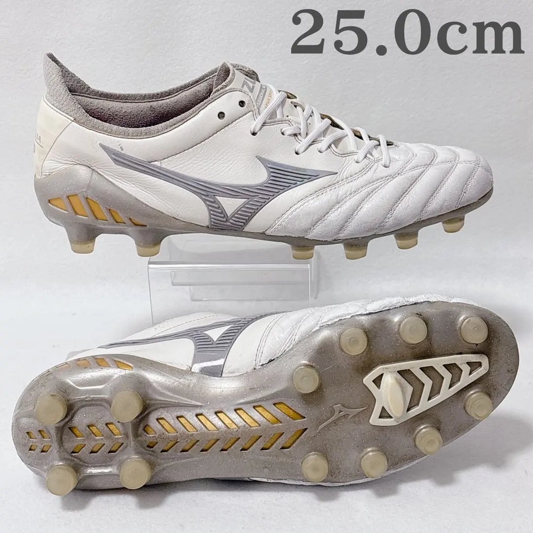 2026年最新】モレリアネオ3 シャイニングの人気アイテム - メルカリ