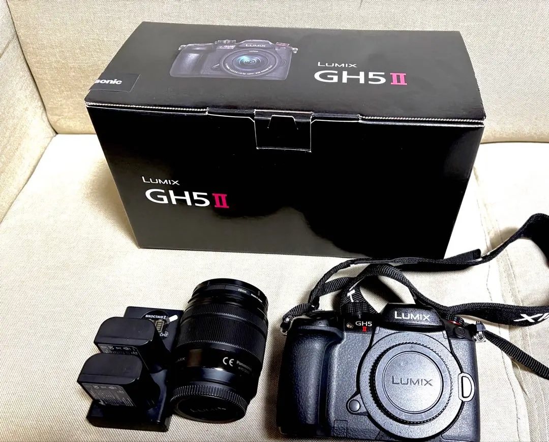 2026年最新】lumix gh5sの人気アイテム - メルカリ