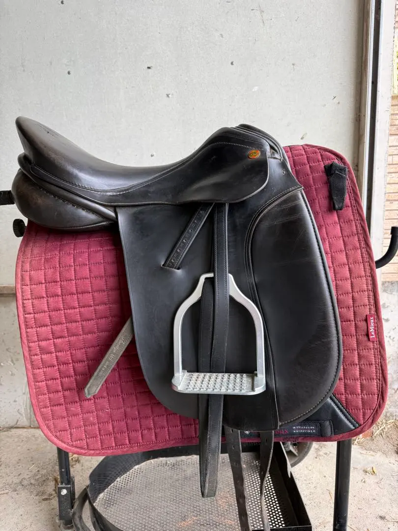 2026年最新】乗馬鞍 馬場鞍の人気アイテム - メルカリ