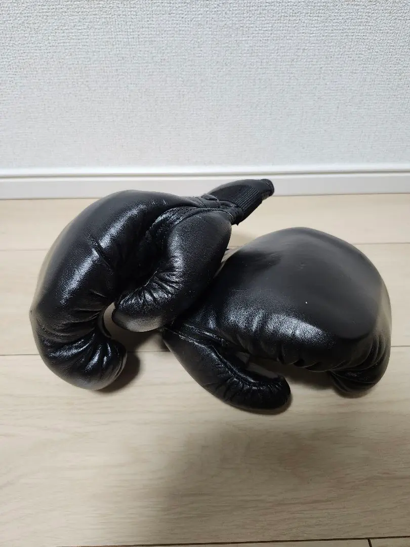 2026年最新】日本拳法 グローブの人気アイテム - メルカリ