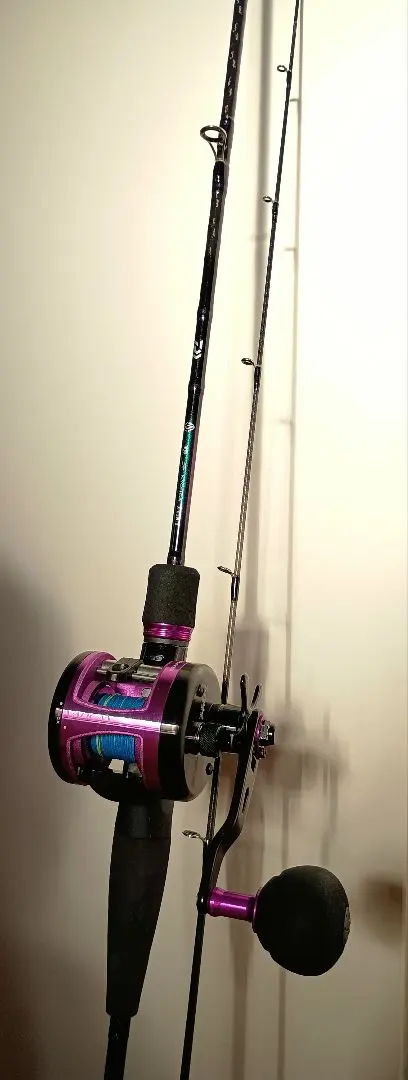 2026年最新】ダイワ(DAIWA) タチウオジギングロッド 鏡牙X 63B-2の人気