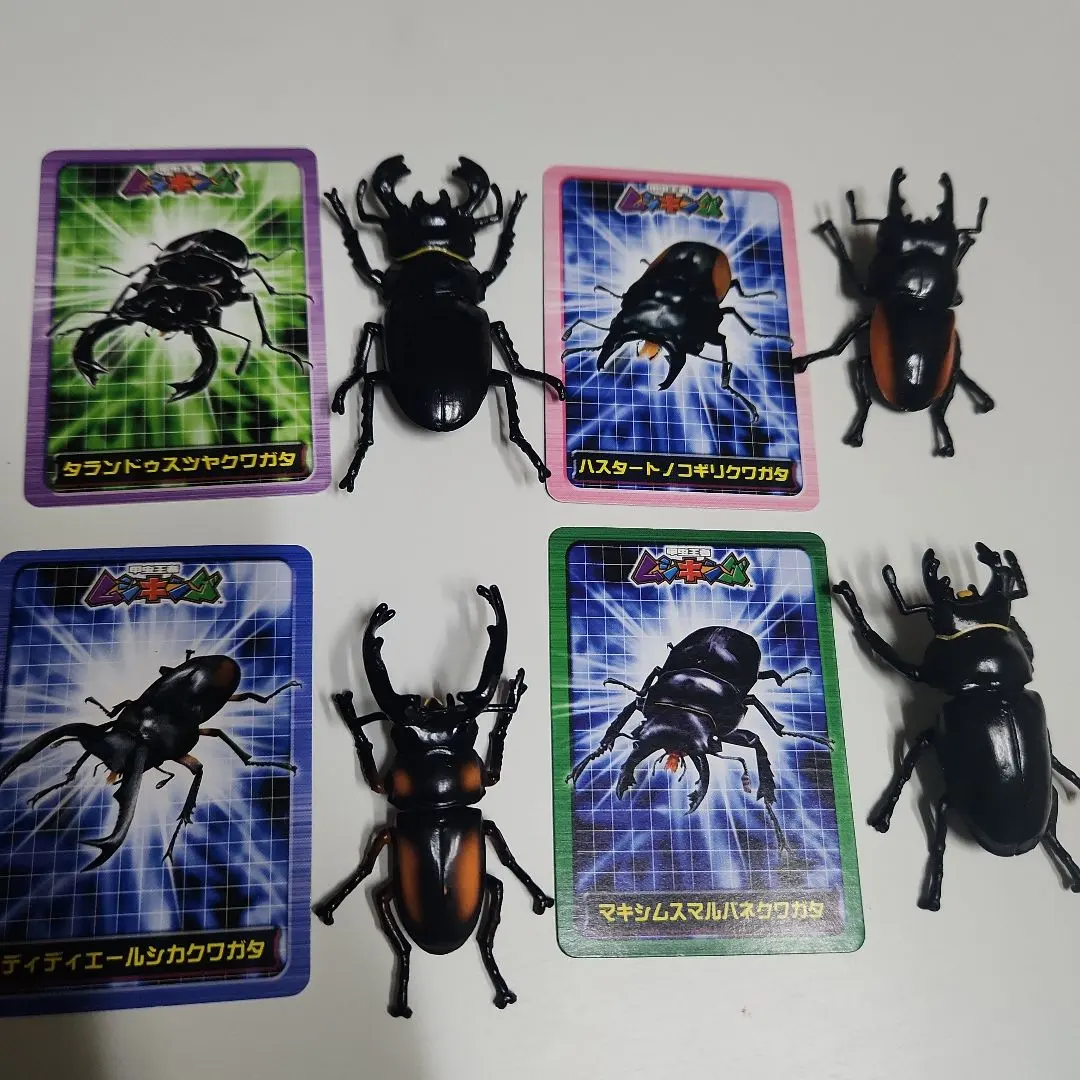 2026年最新】マキシムスマルバネクワガタの人気アイテム - メルカリ