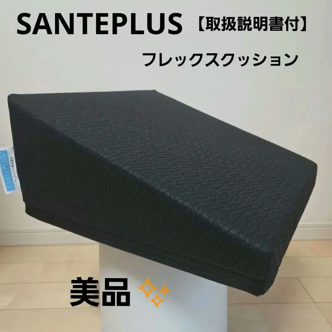 2026年最新】サンテプラス フレックスクッション(本体のみ)の人気