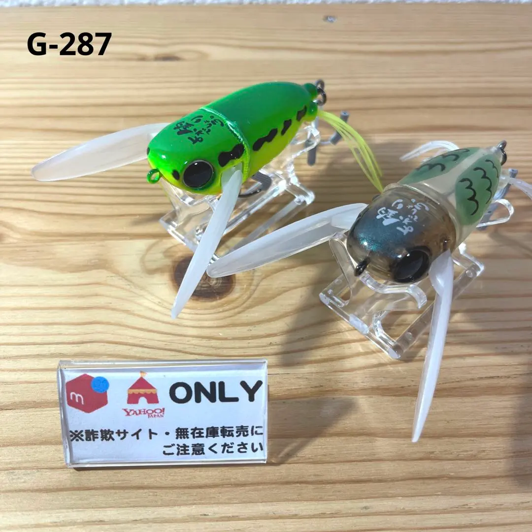 2026年最新】ニチニチフロイジーの人気アイテム - メルカリ