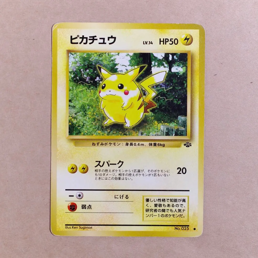 m62077121115_1.jpg?1772845451