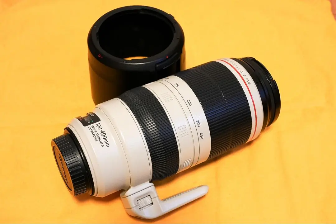 2026年最新】ef100 400mm f4 5 5．6 l is usm 中古の人気アイテム