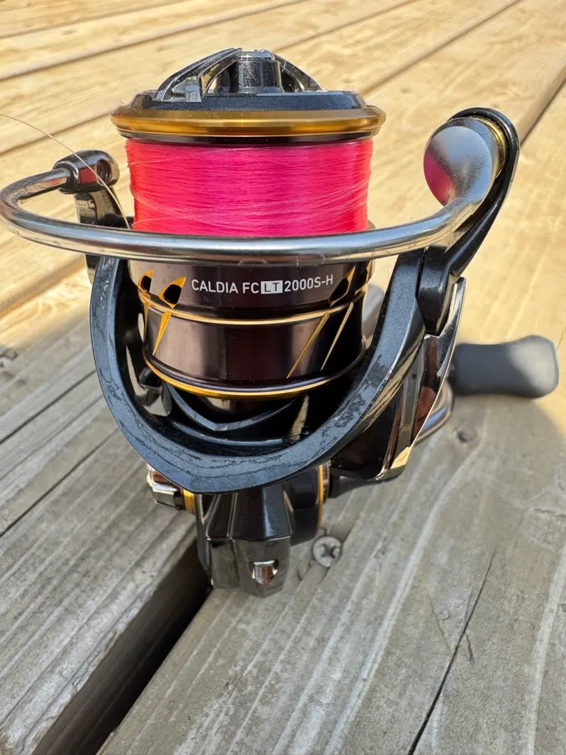 2026年最新】カルディア2000sの人気アイテム - メルカリ