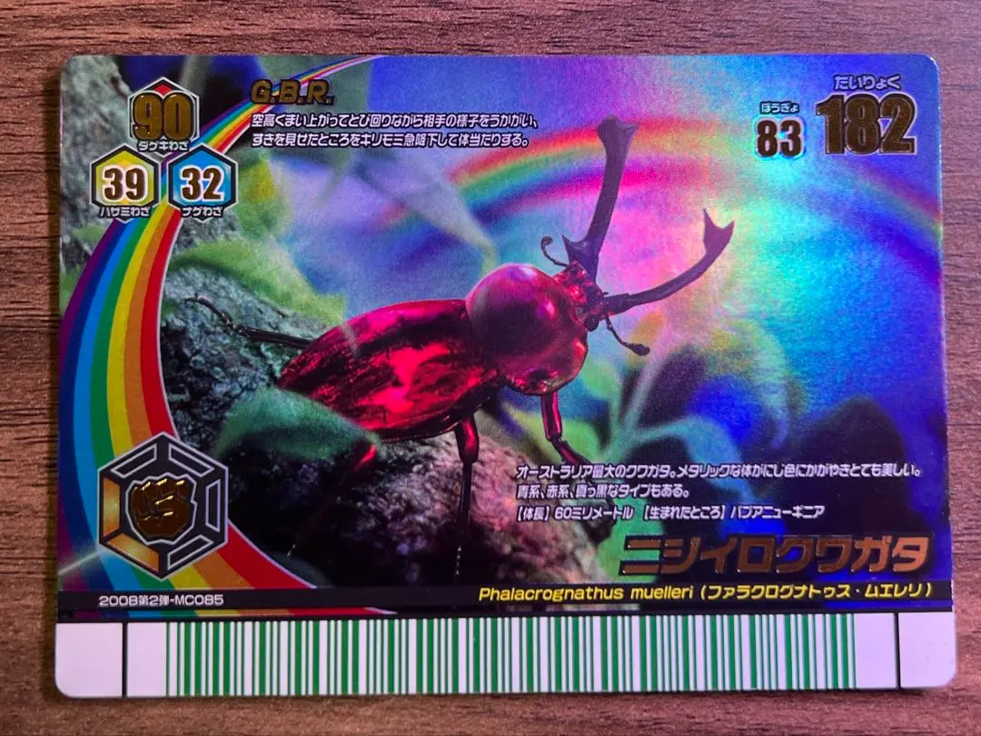 2026年最新】ニジイロクワガタ ムシキング 夏レインボーの人気アイテム