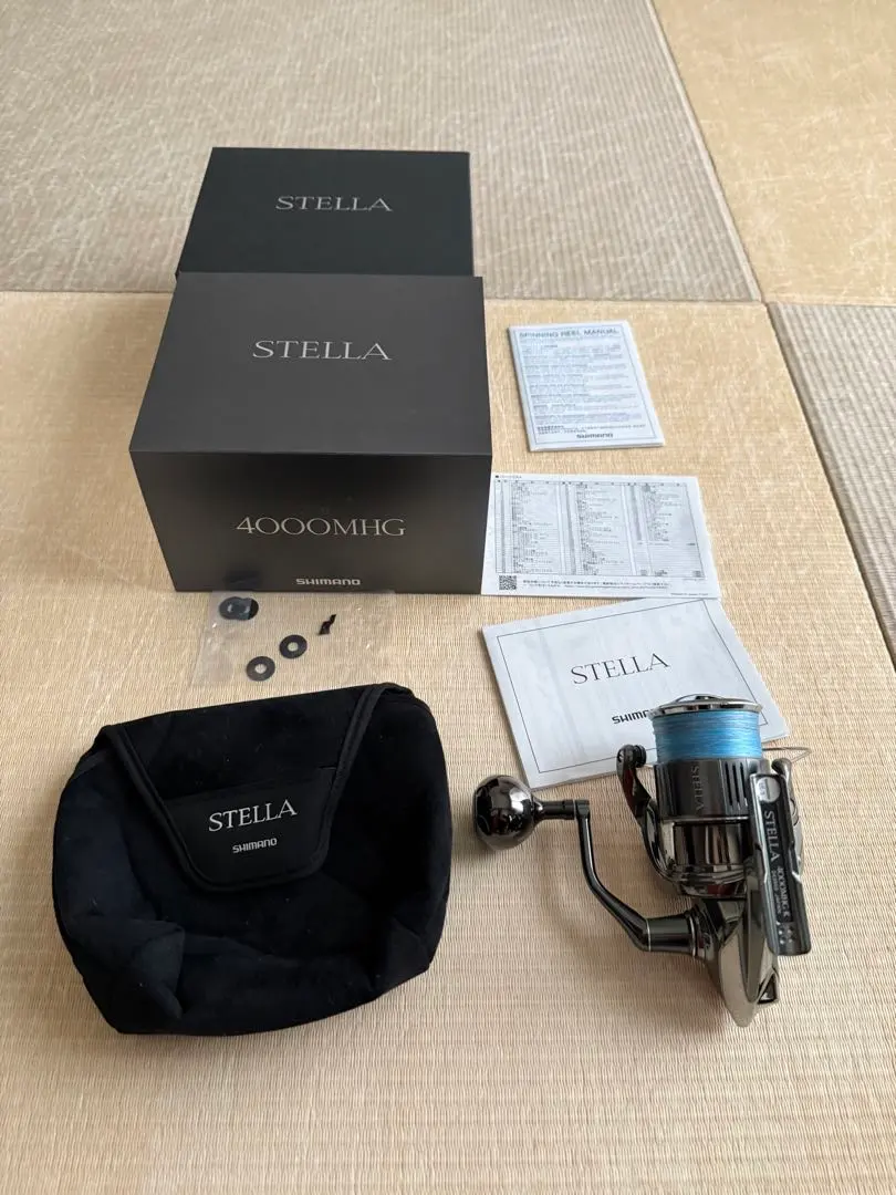 2026年最新】22ステラ 4000mhgの人気アイテム - メルカリ