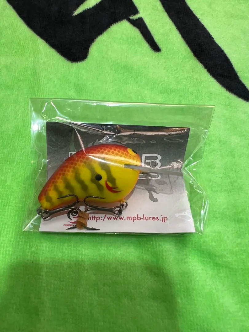 m76479921257_1.jpg?1771810136