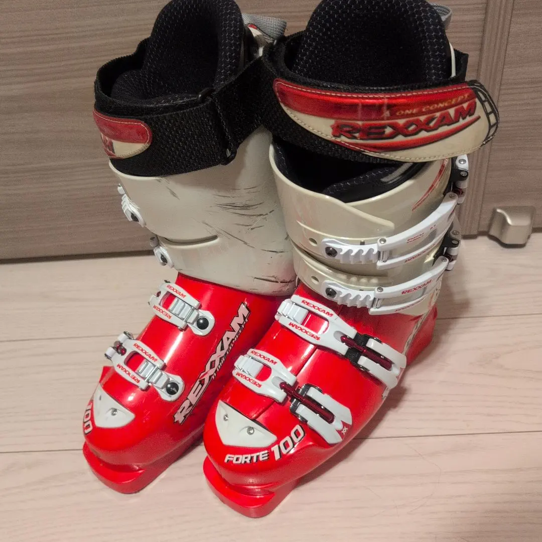 2026年最新】rexxam forteの人気アイテム - メルカリ