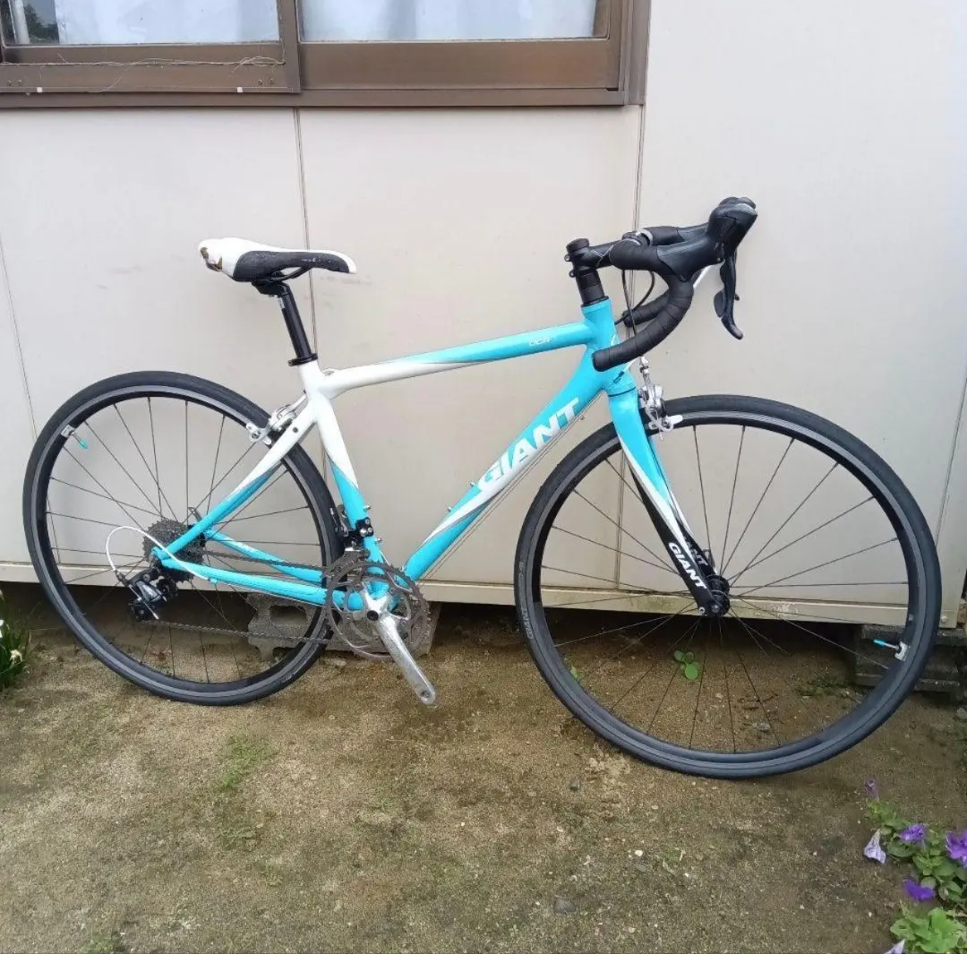 2026年最新】giant ocrの人気アイテム - メルカリ