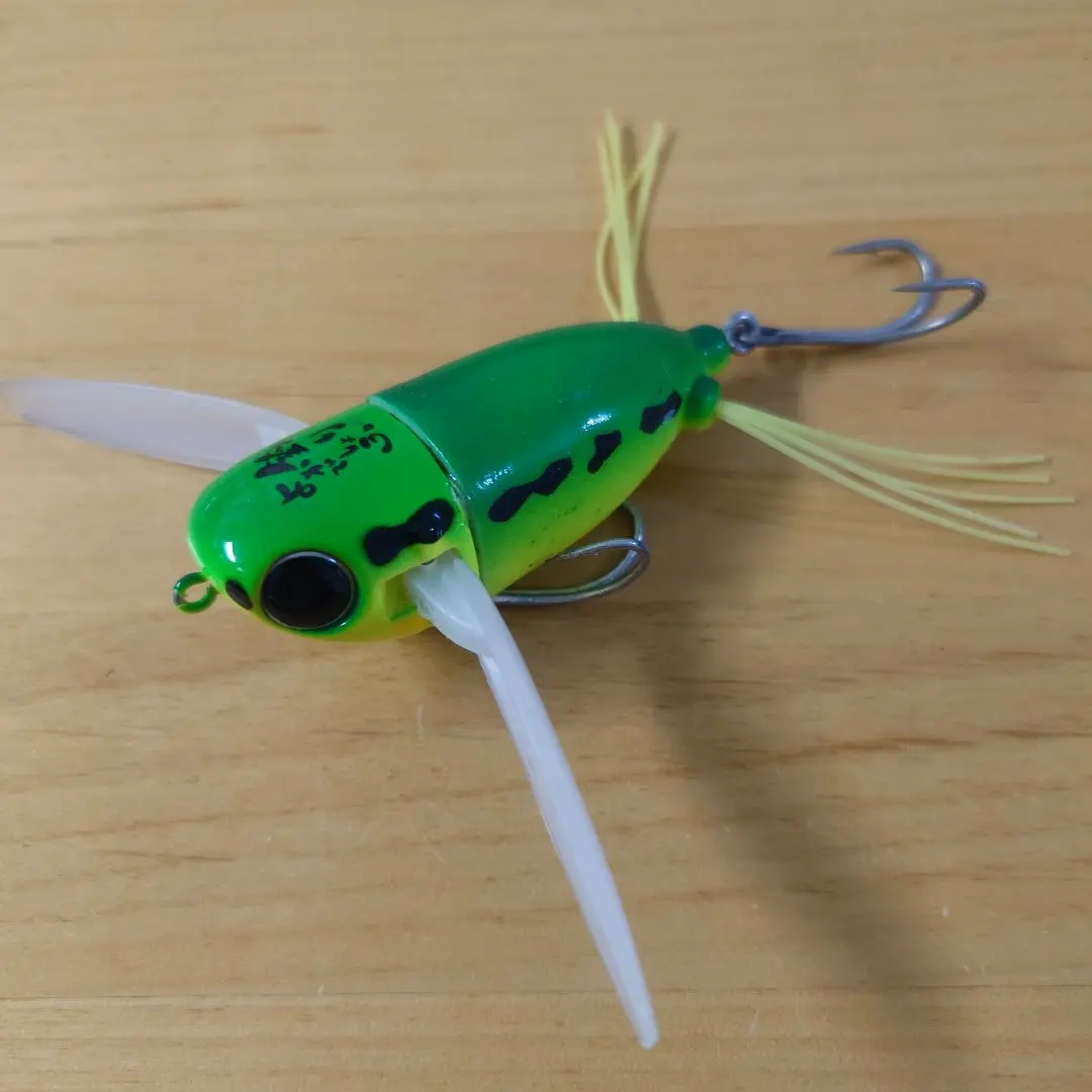 2026年最新】ニチニチフロイジーの人気アイテム - メルカリ