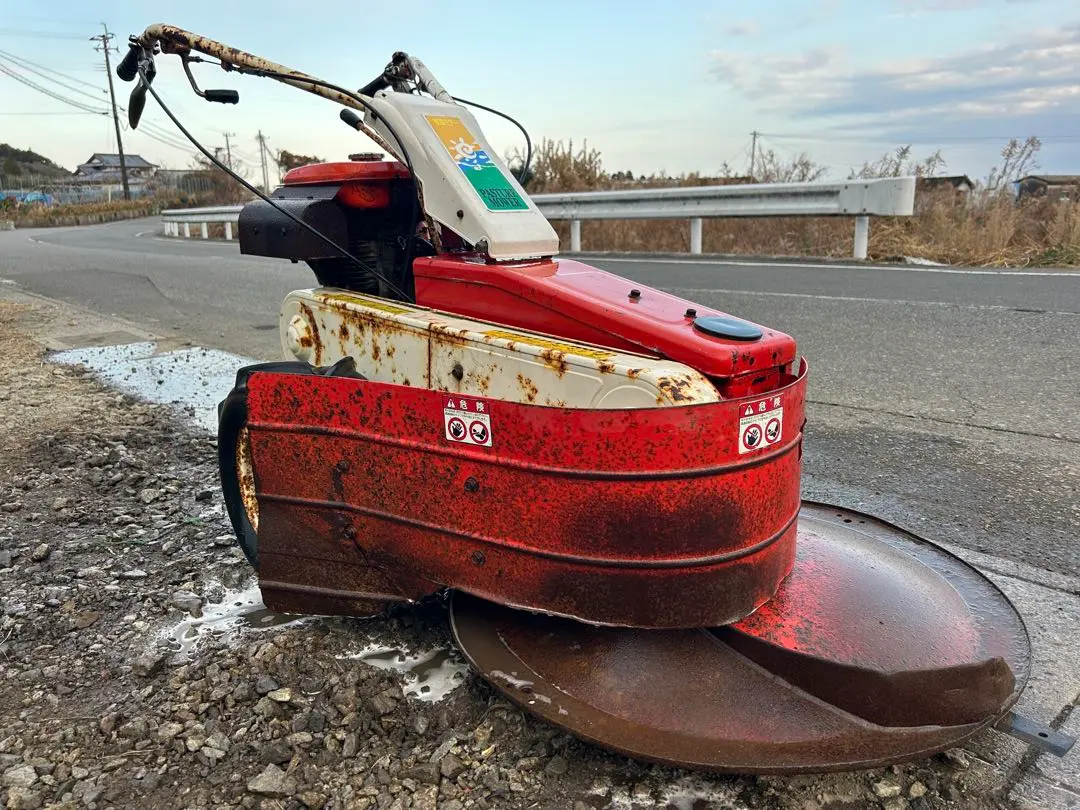 2026年最新】牧草モアの人気アイテム - メルカリ