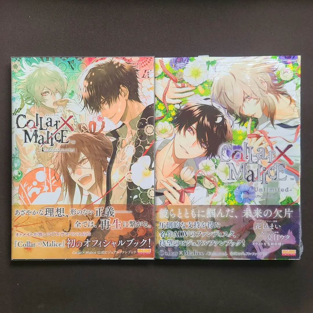 2026年最新】Collar×Malice 公式ビジュアルファンブック の人気
