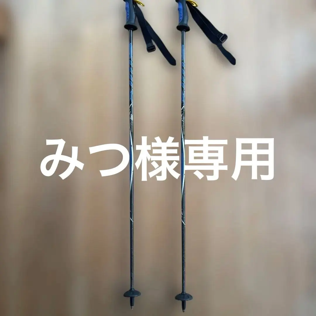 2026年最新】SWIX cobraの人気アイテム - メルカリ