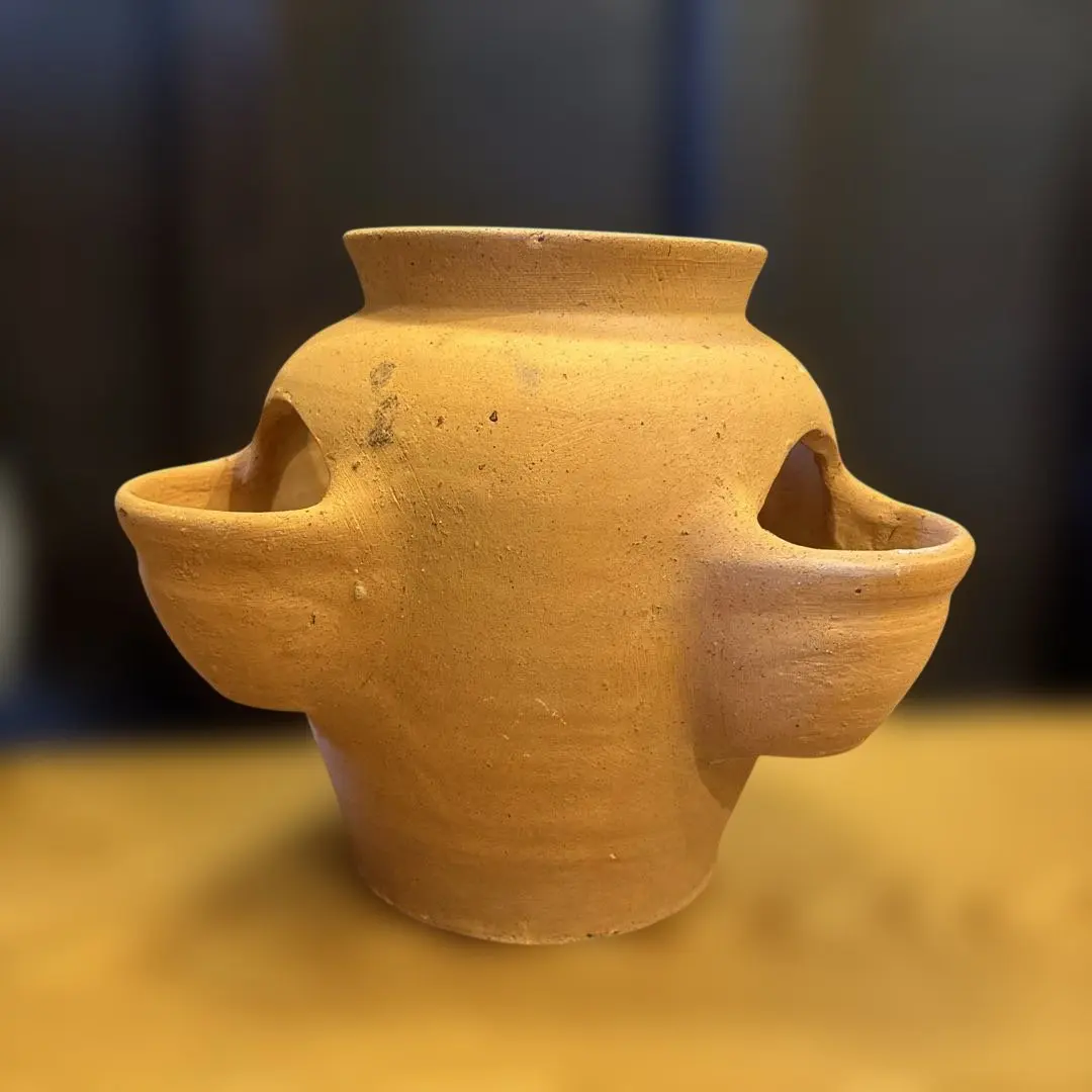 2026年最新】ストロベリーポット 素焼きの人気アイテム - メルカリ