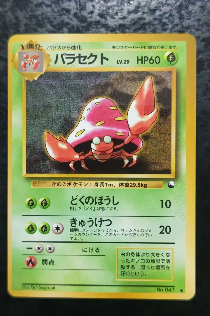 m88441660740_1.jpg?1772724845