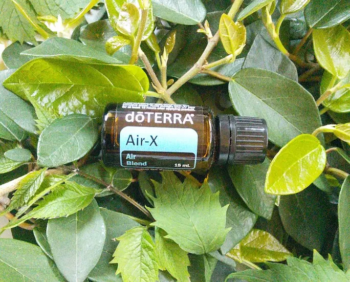 2026年最新】ドテラ エアーエックスの人気アイテム - メルカリ