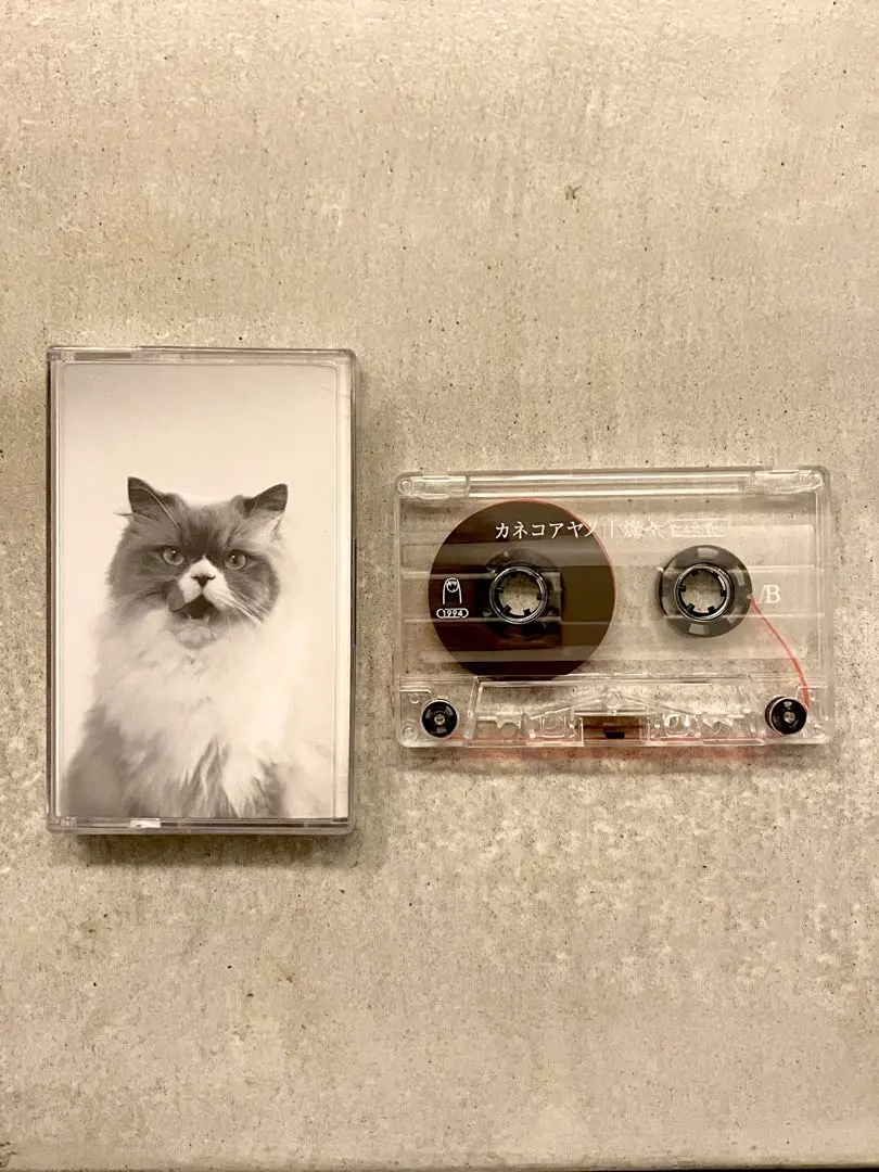 2026年最新】カネコアヤノ 燦々 レコードの人気アイテム - メルカリ