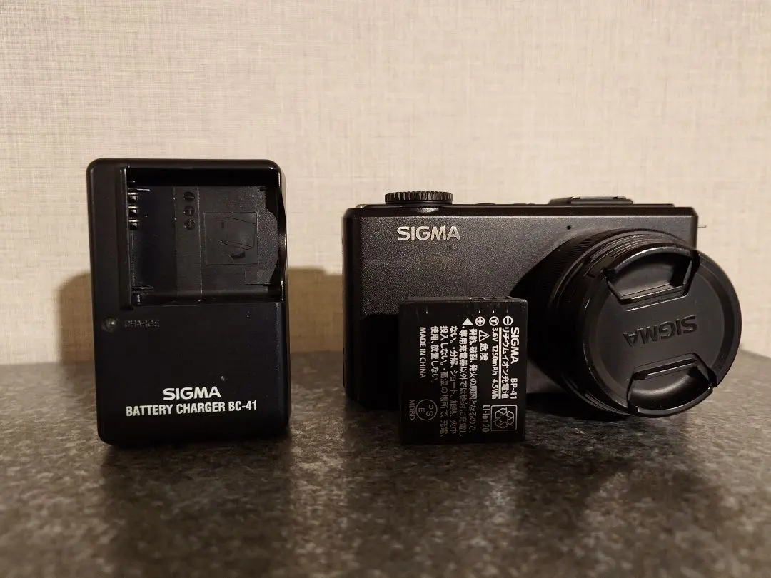 2026年最新】sigma DP2 merrillの人気アイテム - メルカリ