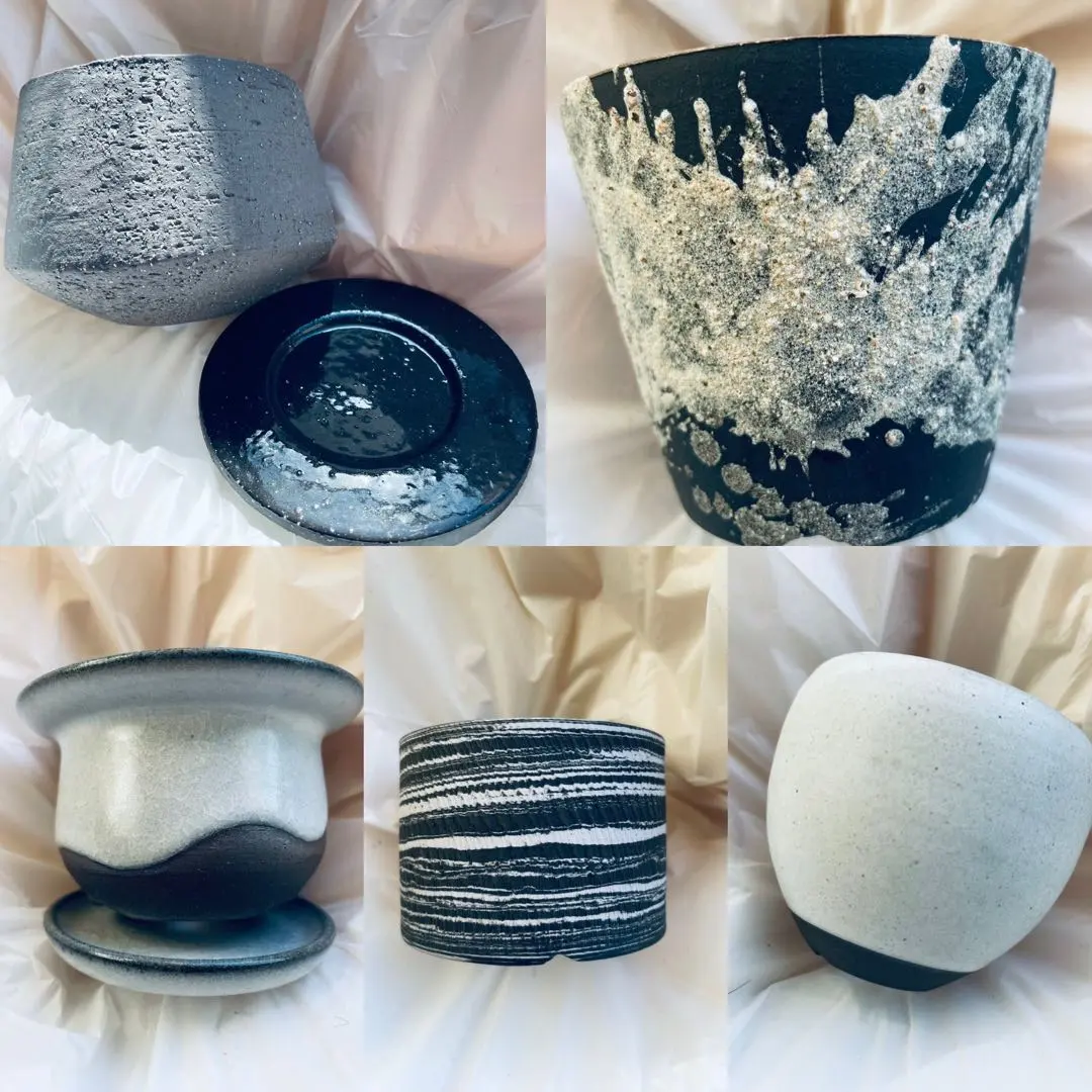 2026年最新】toky 鉢の人気アイテム - メルカリ