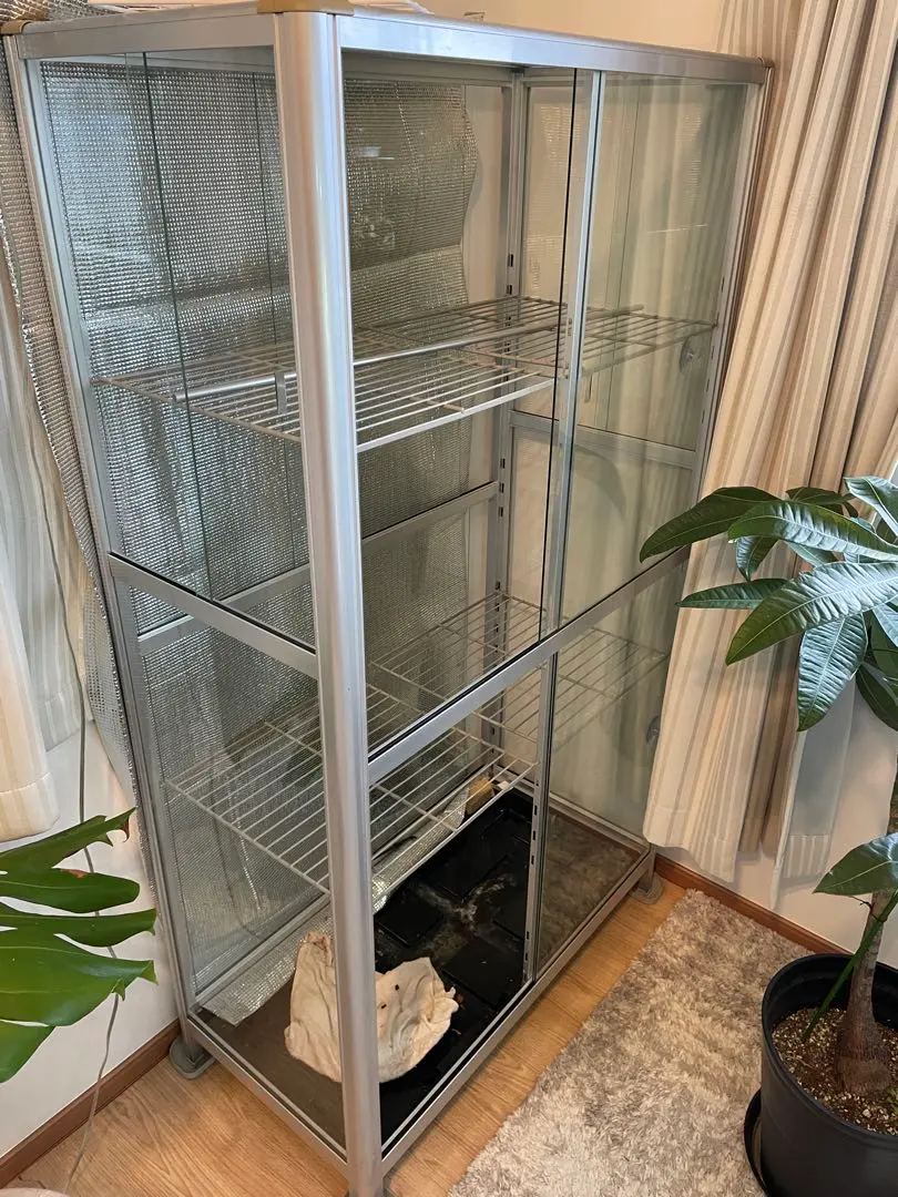 2026年最新】ピカ 温室の人気アイテム - メルカリ