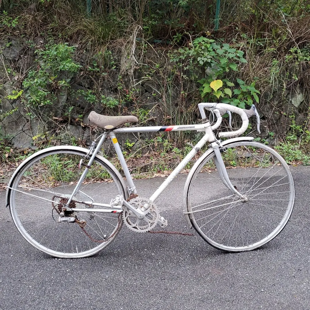 2026年最新】レイダック ブリジストンの人気アイテム - メルカリ