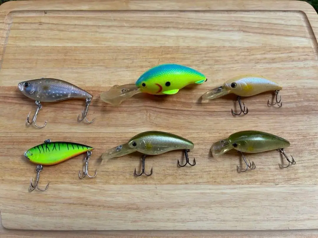 2026年最新】ラッキークラフト リアルベイトの人気アイテム - メルカリ