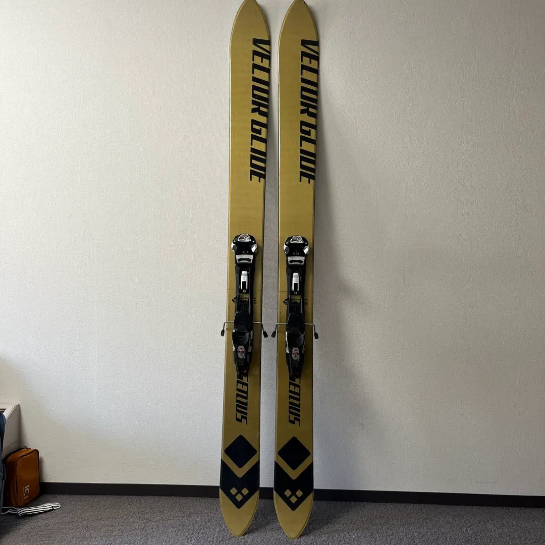 2026年最新】ベクターグライド ジーニアスの人気アイテム - メルカリ