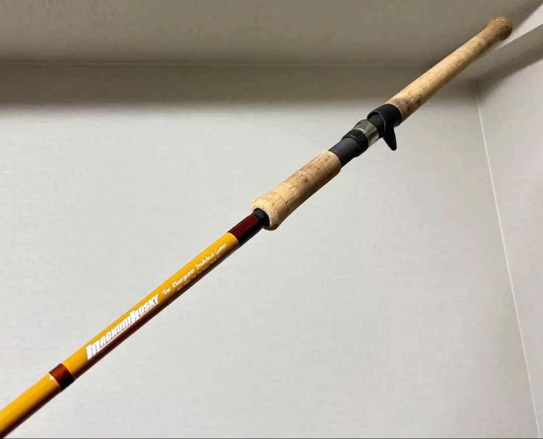 2026年最新】雷魚 ロッド XHの人気アイテム - メルカリ